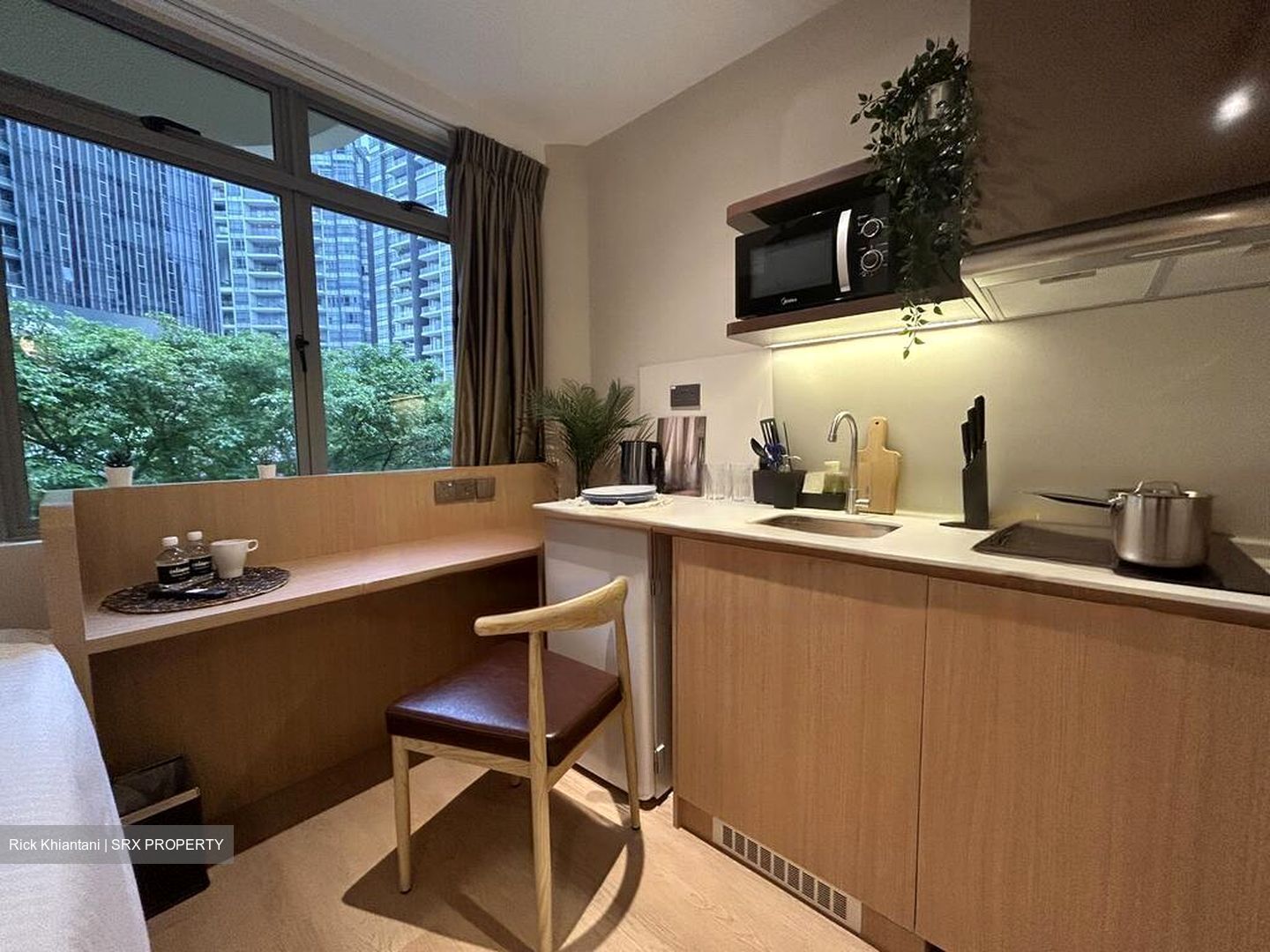Mount Elizabeth Link (D9), Condominium #484100471